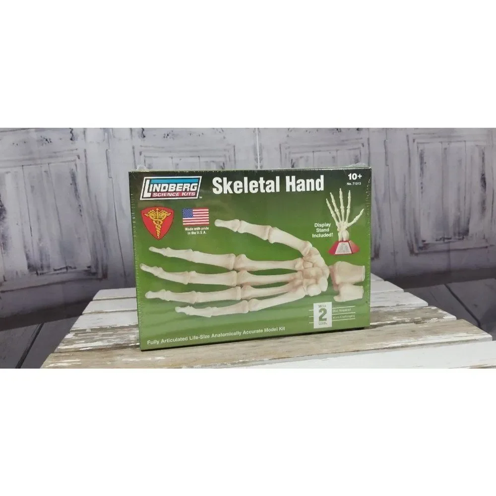 Lindberg Science Kits Skill 2 hand anatomy skeleton Educational Lloyd 71313 bone